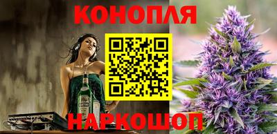 гашик Гусь-Хрустальный
