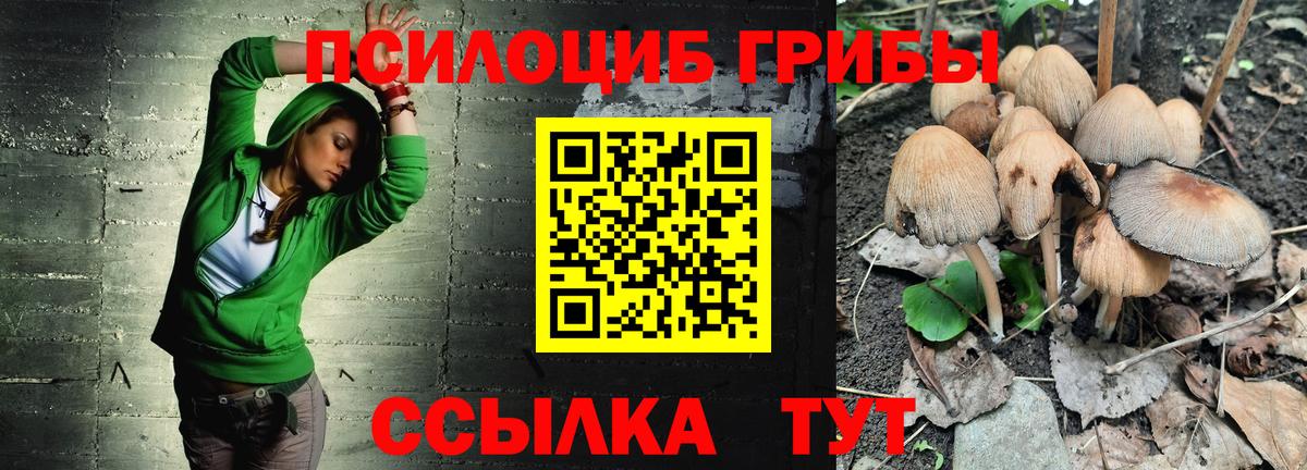 Псилоцибиновые грибы MAGIC MUSHROOMS  Псилоцибиновые грибы Cubensis  Вход с VPN  Ростов Великий 